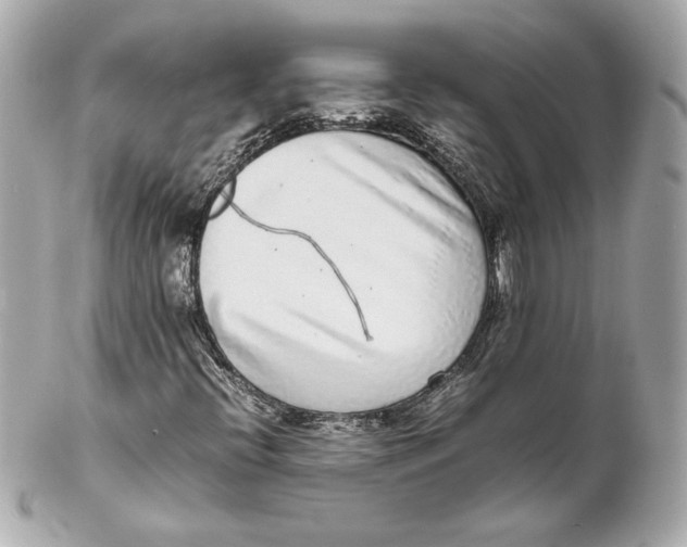 X0000102271396200808151853