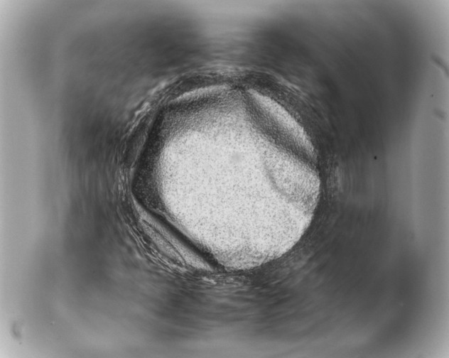 X0000102271397200808151853