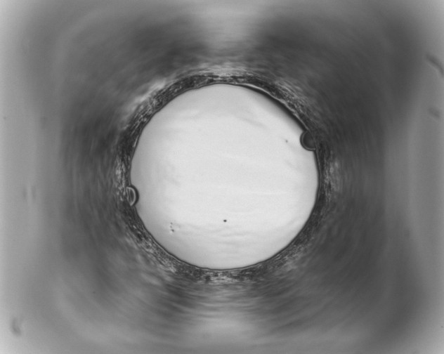 X0000102271398200808151853