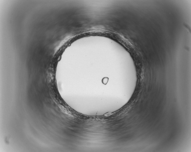 X0000102271400200808151853