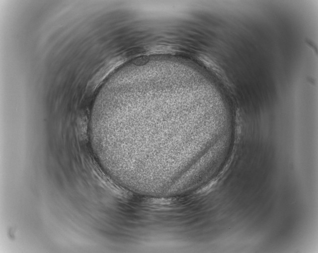 X0000102271401200808151853