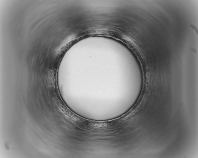 X0000102271403200808151853