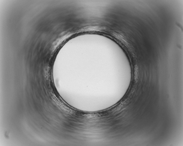 X0000102271404200808151853