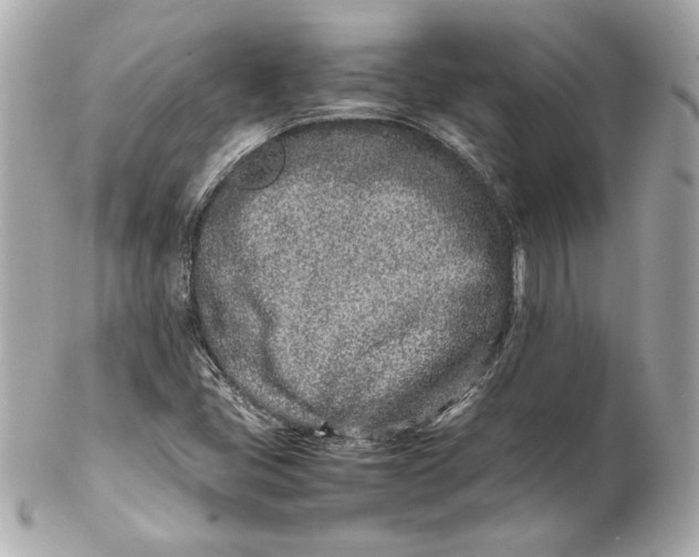 X0000102271405200808151853