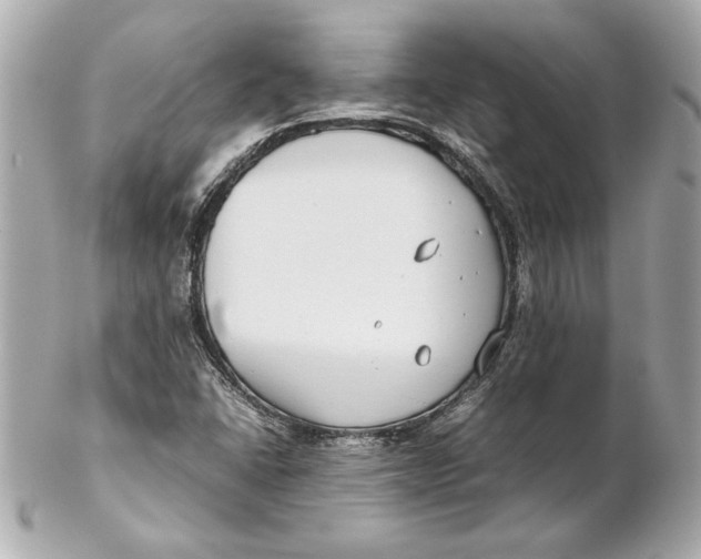 X0000102271406200808151853