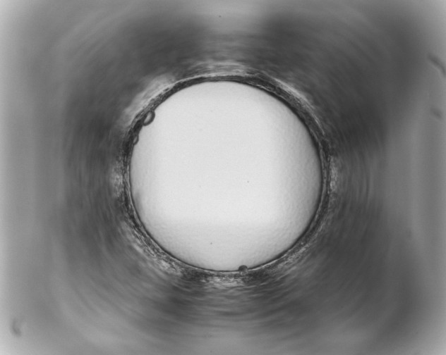 X0000102271407200808151853