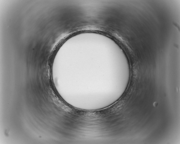 X0000102271408200808151853