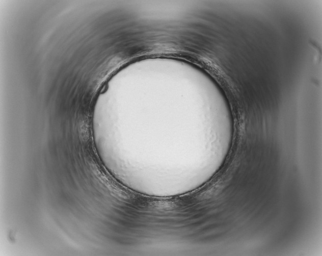 X0000102271409200808151853