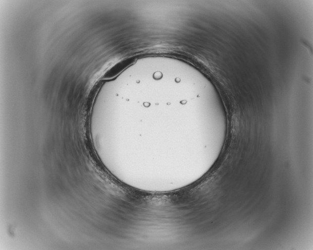 X0000102271410200808151853