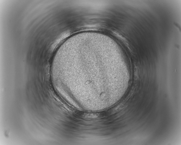 X0000102271411200808151853