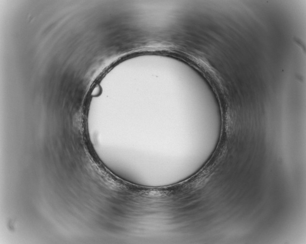 X0000102271412200808151853