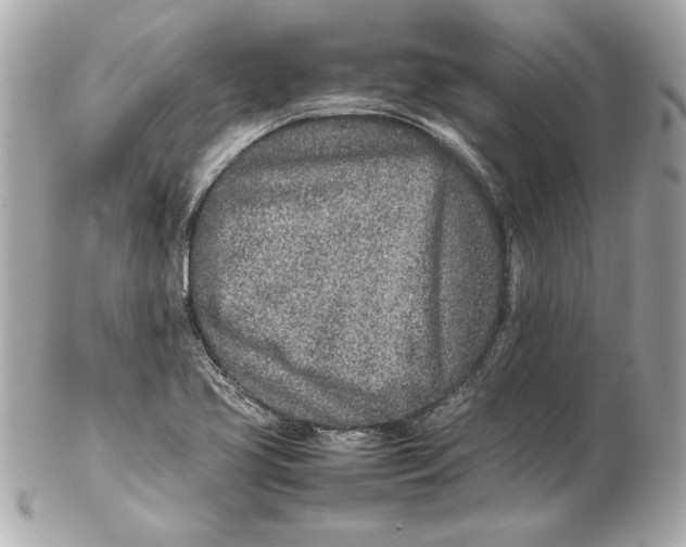 X0000102271413200808151853