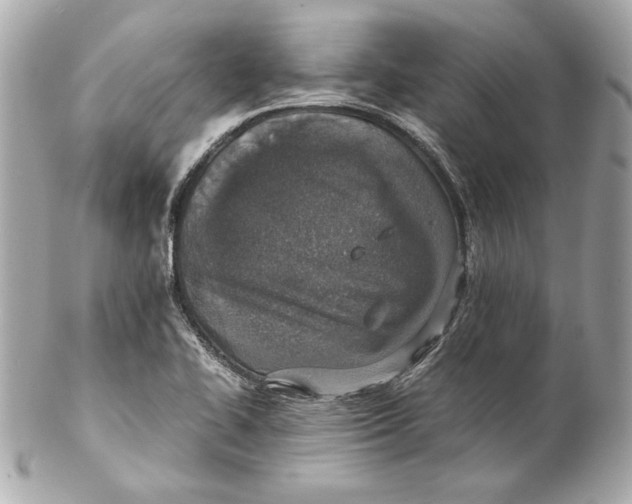 X0000102271414200808151853