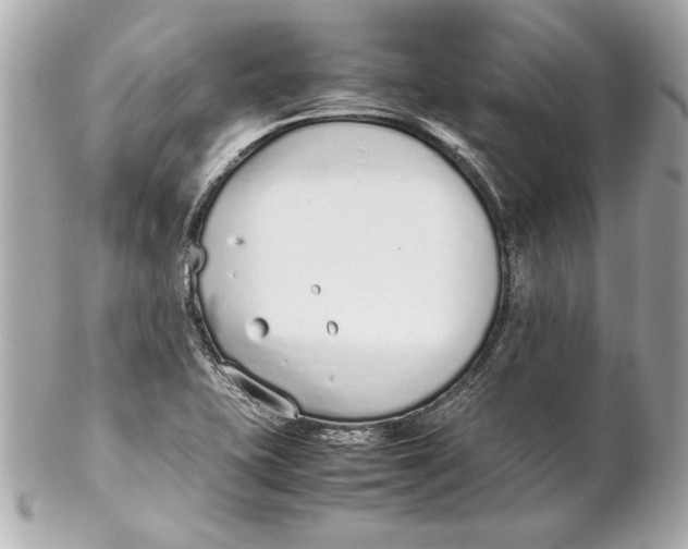 X0000102271415200808151853