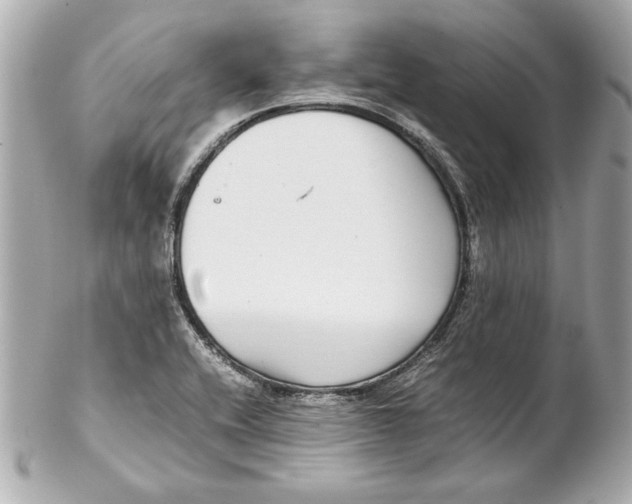 X0000102271416200808151853