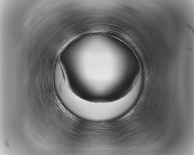 X0000102271417200808151853