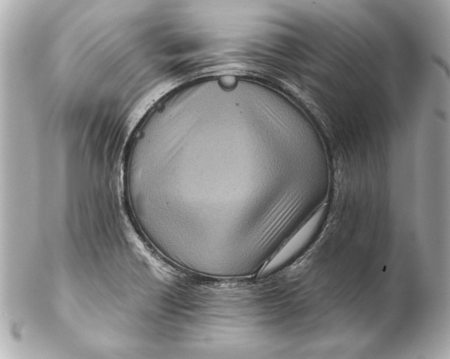 X0000102271418200808151853