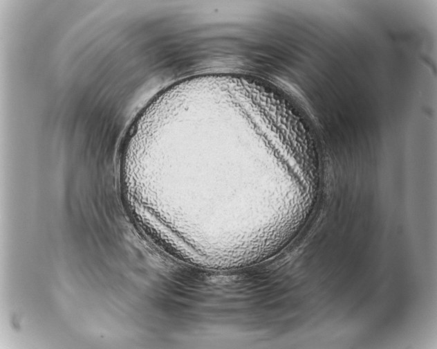 X0000102271419200808151853