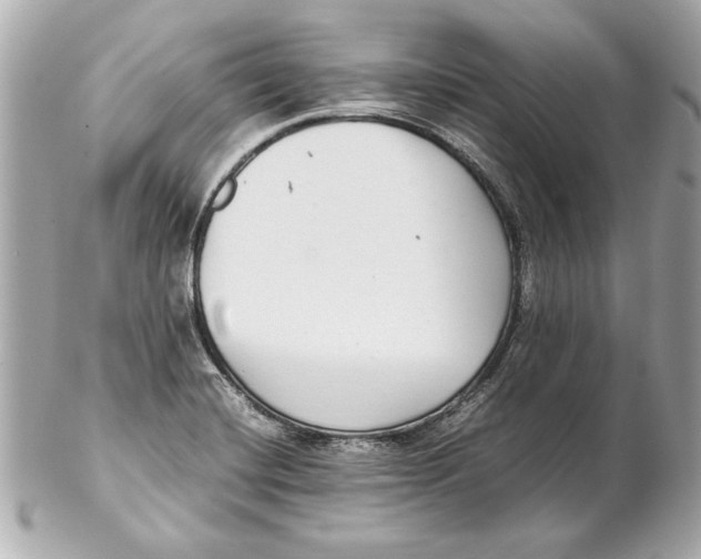 X0000102271420200808151853