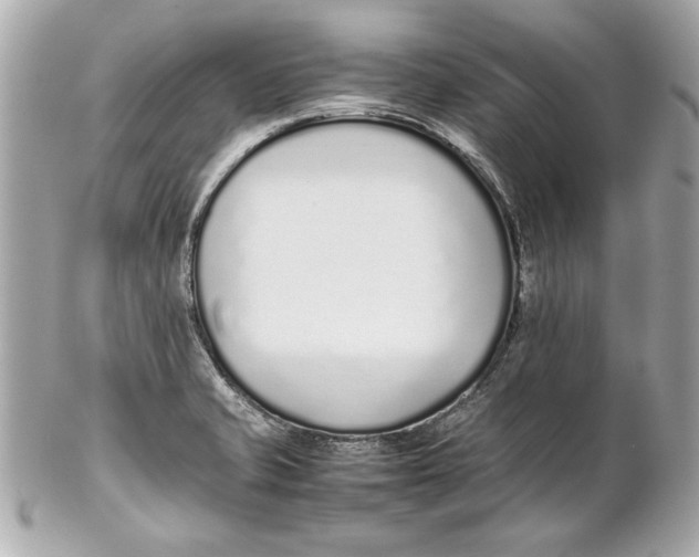 X0000102271421200808151853