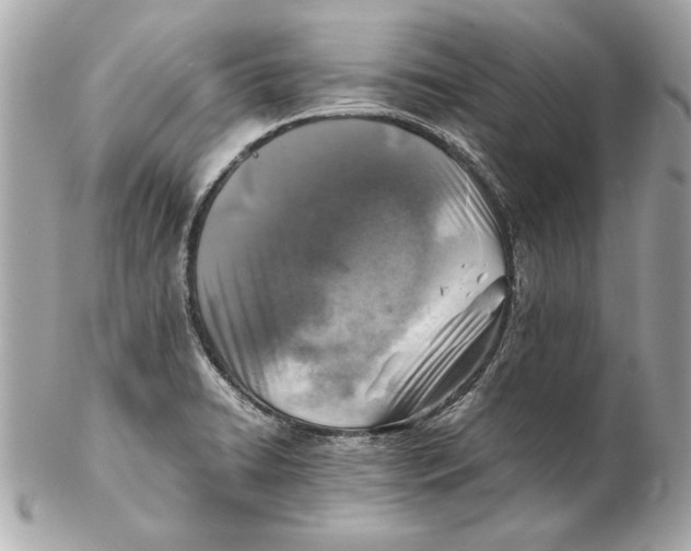 X0000102271422200808151853