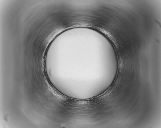 X0000102271423200808151853