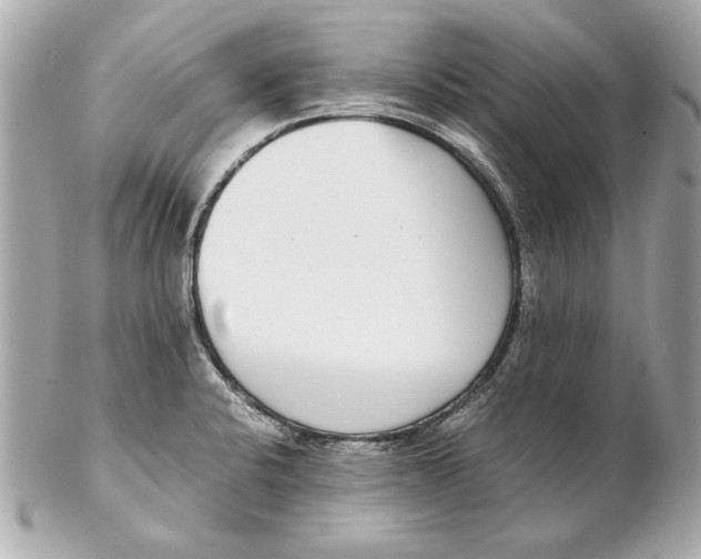 X0000102271424200808151853