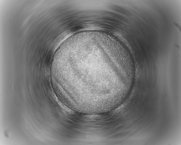 X0000102271425200808151854