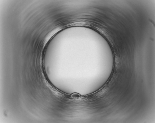 X0000102271426200808151854