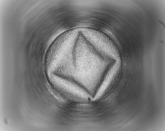 X0000102271427200808151854