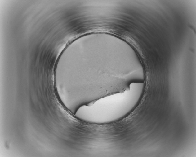 X0000102271428200808151854