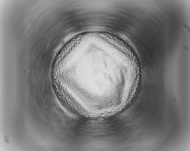 X0000102271429200808151854