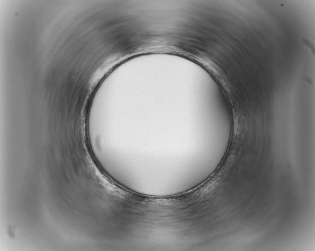 X0000102271430200808151854