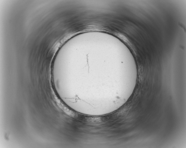 X0000102271431200808151854