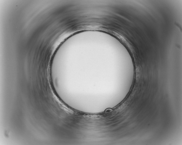 X0000102271432200808151854