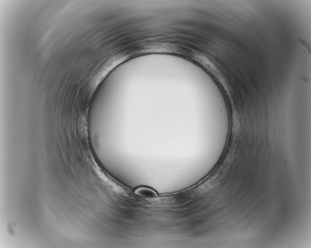 X0000102271433200808151854