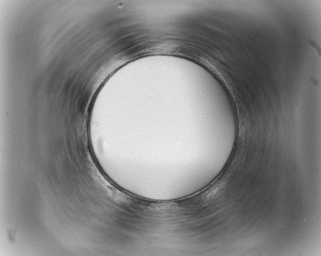 X0000102271434200808151854