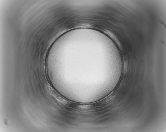 X0000102271435200808151854