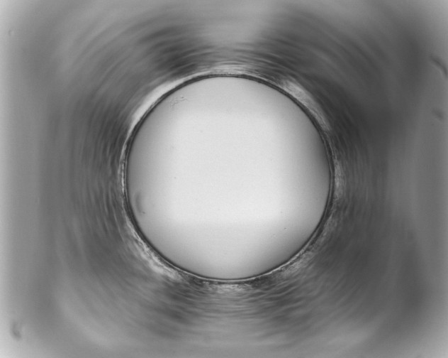 X0000102271436200808151854