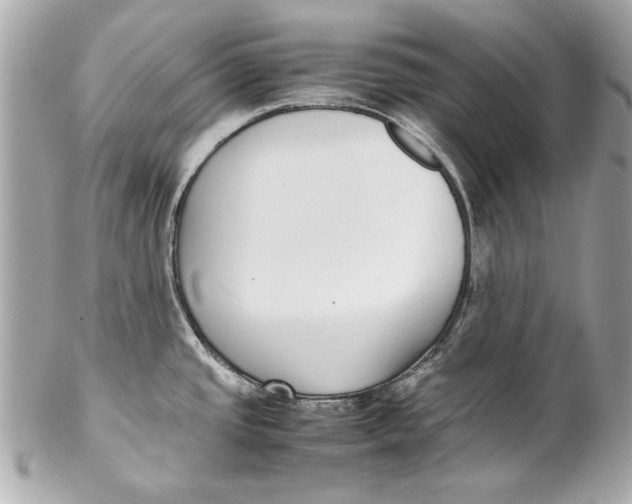 X0000102271437200808151854