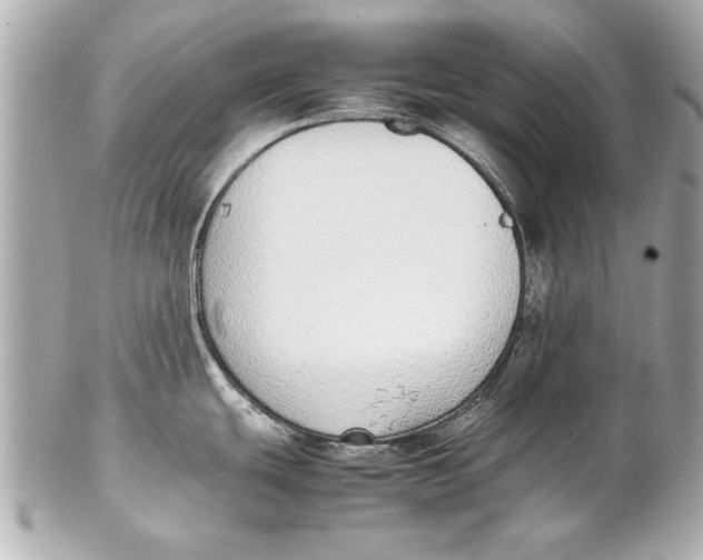 X0000102271439200808151854