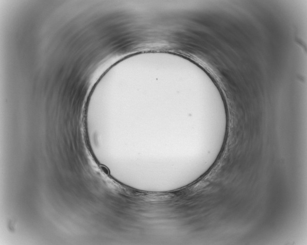 X0000102271440200808151854