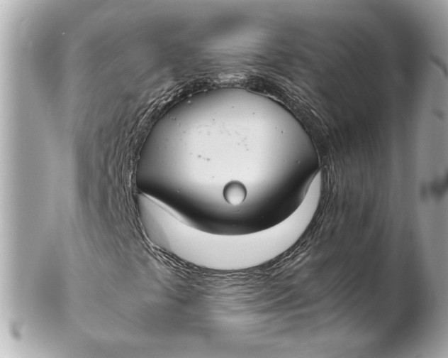 X0000102271441200808151853