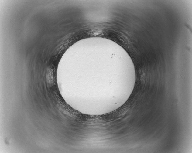 X0000102271442200808151853