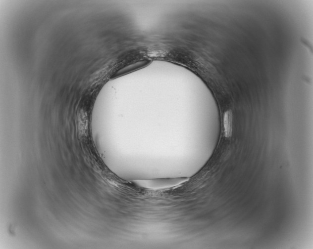 X0000102271443200808151853