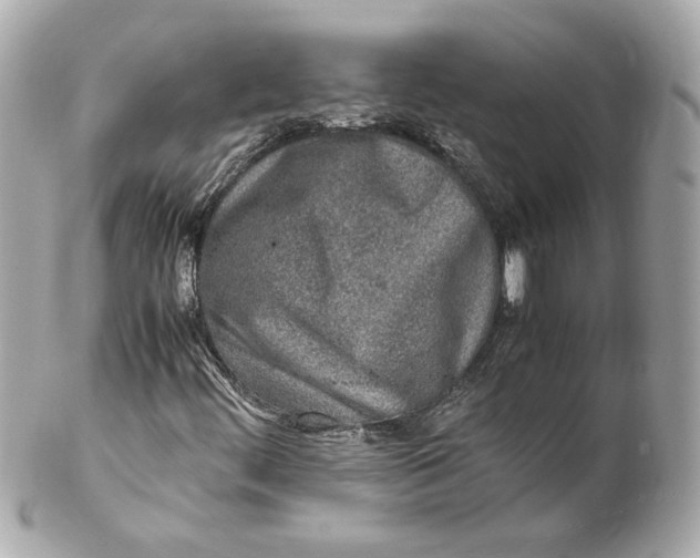 X0000102271444200808151853