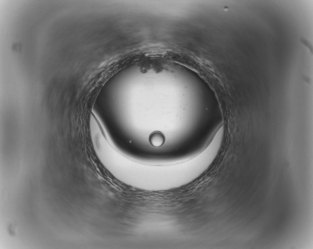 X0000102271445200808151853