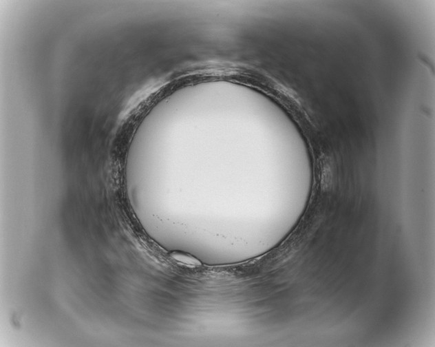 X0000102271448200808151853