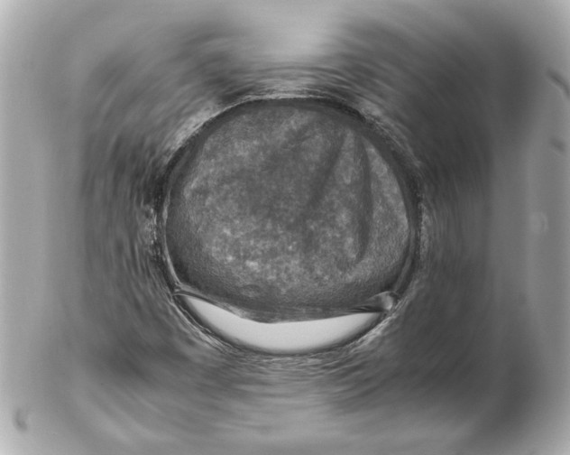 X0000102271449200808151853