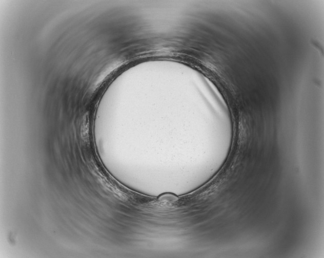 X0000102271450200808151853